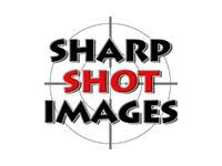 Sharp Shot Images